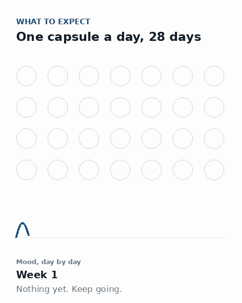 28-day calendar filling in while a jagged mood line settles